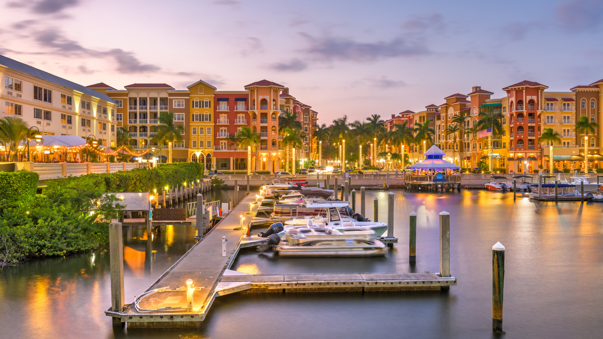 Palm trees near a coastal walkway