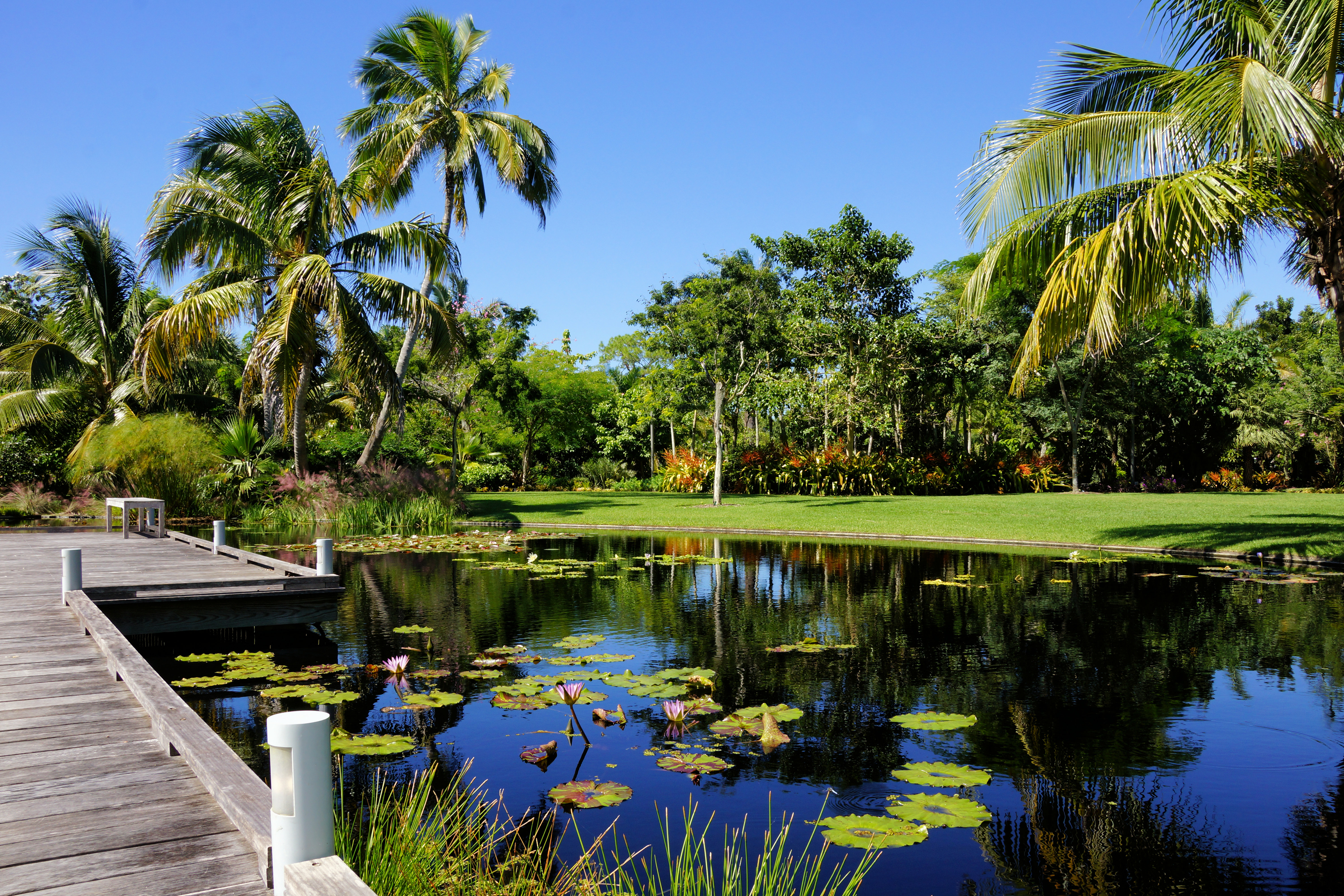 Elegant outdoor gathering space surrounded by greenery